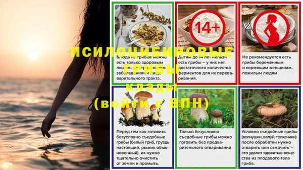 шишки Ессентукская