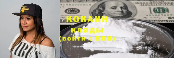 шишки Ессентукская