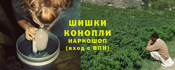шишки Ессентукская