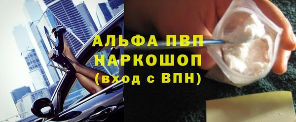 шишки Ессентукская