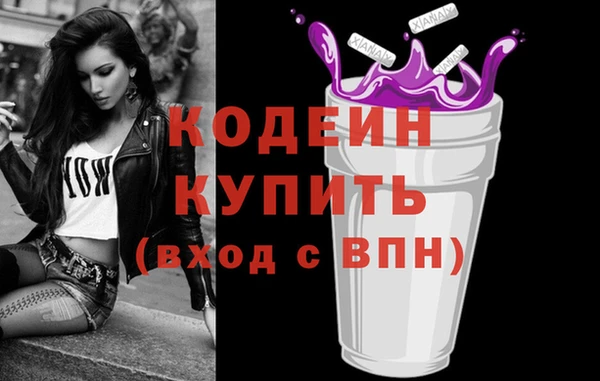 шишки Ессентукская