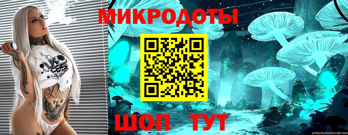 хочу наркоту  Вход с VPN  Россия  Псилоцибиновые грибы Cubensis 