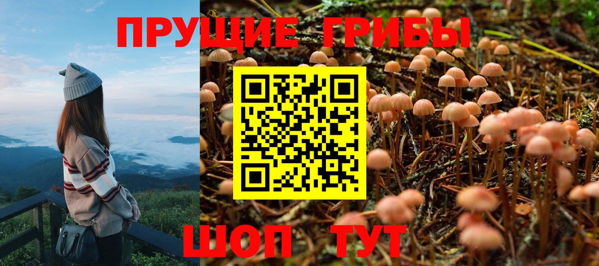 Галлюциногенные грибы ЛСД  Псилоцибиновые грибы Cubensis  Россия 