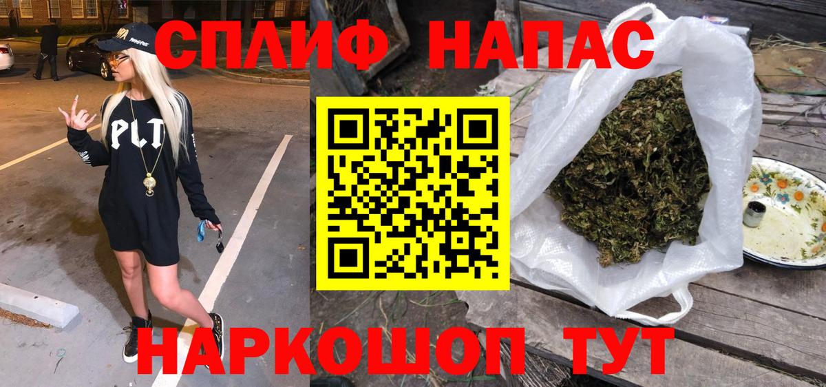 Бошки марихуана сатива Россия